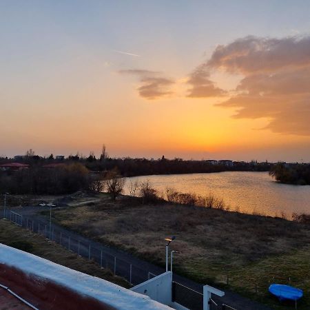 Herastrau Park Bucureşti Eksteriør bilde
